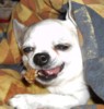 Benutzeravatar