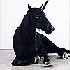Benutzeravatar