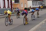 DSC09366_crop.JPG