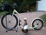 2012-09-04 18.38.30.jpg