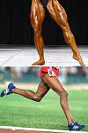 laufbuilder.jpg