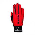 Roeckl Handschuhe Michi.JPG