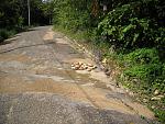 DSCN1786.JPG