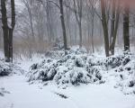 IMG_0398_bearbeitet.jpg
