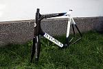 Storck.jpg