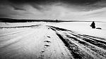 DSCN1365.jpg