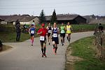 Süwag Lauf 2012.jpg