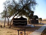 17 Oman Wahiba Sands Wuestencamp 1000 Nights.jpg