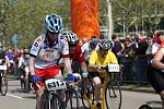 IMG_1557.jpg