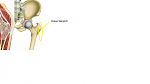 Forum2.png