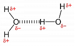 800px-Hydrogen-bonding-in-water-2D.png