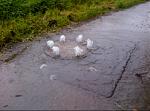 IMG-20130601-00034.jpg