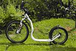 Roller-weiss-01.jpg