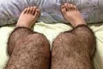 leg_420.jpg