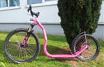 Pinky1_Seite.png