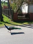 20130606_100449_1.jpg