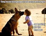 51df2668488a3_raisethemright.jpg