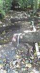 2013-09-15_11-41-28_485.jpg