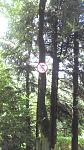 2013-09-15_11-41-53_216.jpg