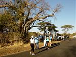 6 Victoria Falls Run Simbabwe.jpg