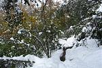 Img_8384.jpg