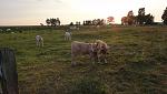 DSC01058ax.jpg