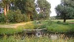 DSC01077ax.jpg