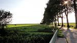DSC01753a.jpg