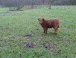 20131207_122616.jpeg