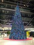 tannenbaum.jpg