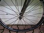 IMG-20131229-00123k.jpg