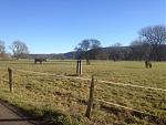 2013-12-30 13.29.56.jpg
