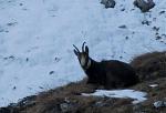 Img_9038a.jpg