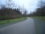 CIMG6863.JPG