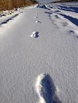 IMG_5311.JPG
