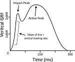 vertical-impact-loading-rate-in-running-linkages-to-running-injury-risk-2.jpg