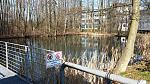 large_CAM00030.jpg