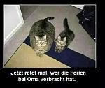 Oma.jpg