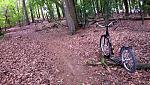 Singletrail.jpg