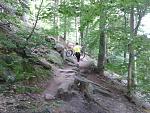 Weg zur Burg Löwenstein.jpg