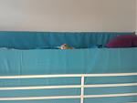 20140929_111549.jpg