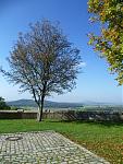 P1010486-klein.JPG