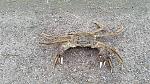 20141008_090915.jpg