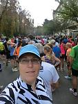 10557062_900047653357962_7602518672278574426_o.jpg