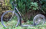 29er 3.jpg