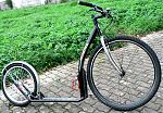 29er 2.jpg