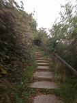 20141023_3.JPG