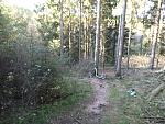 P1000145a.jpg