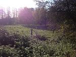IMG_1942_.jpg