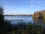 IMG_1950_.jpg